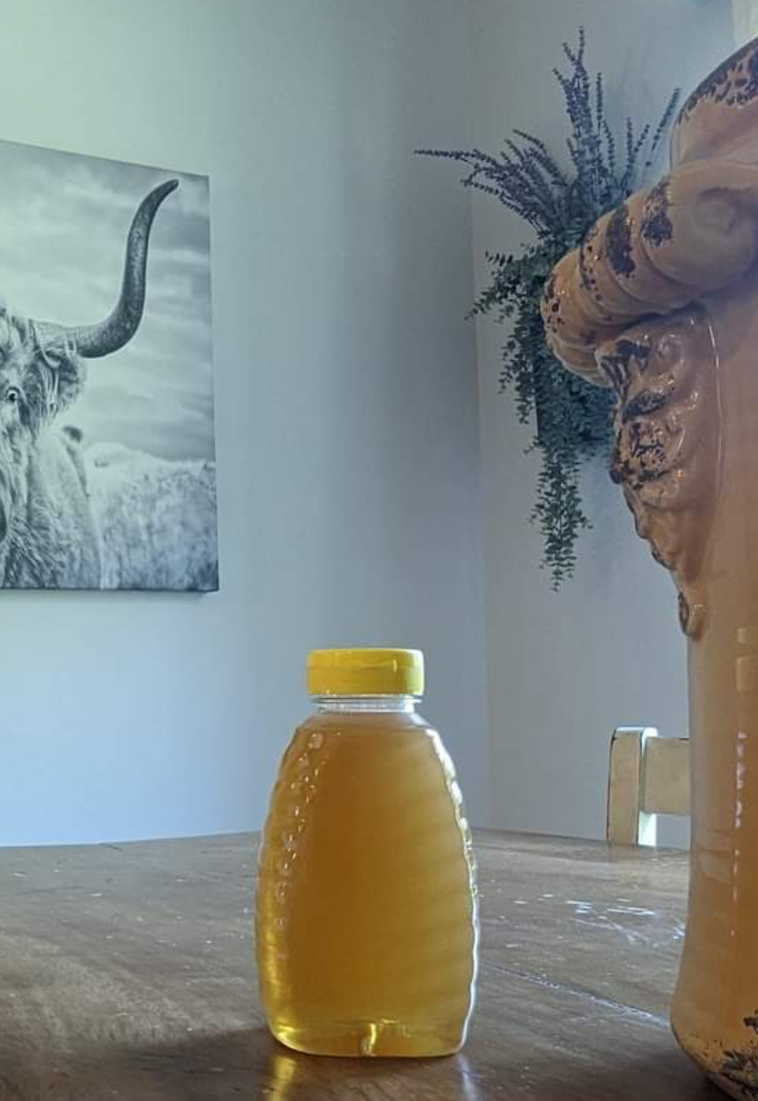 Raw Filtered Honey